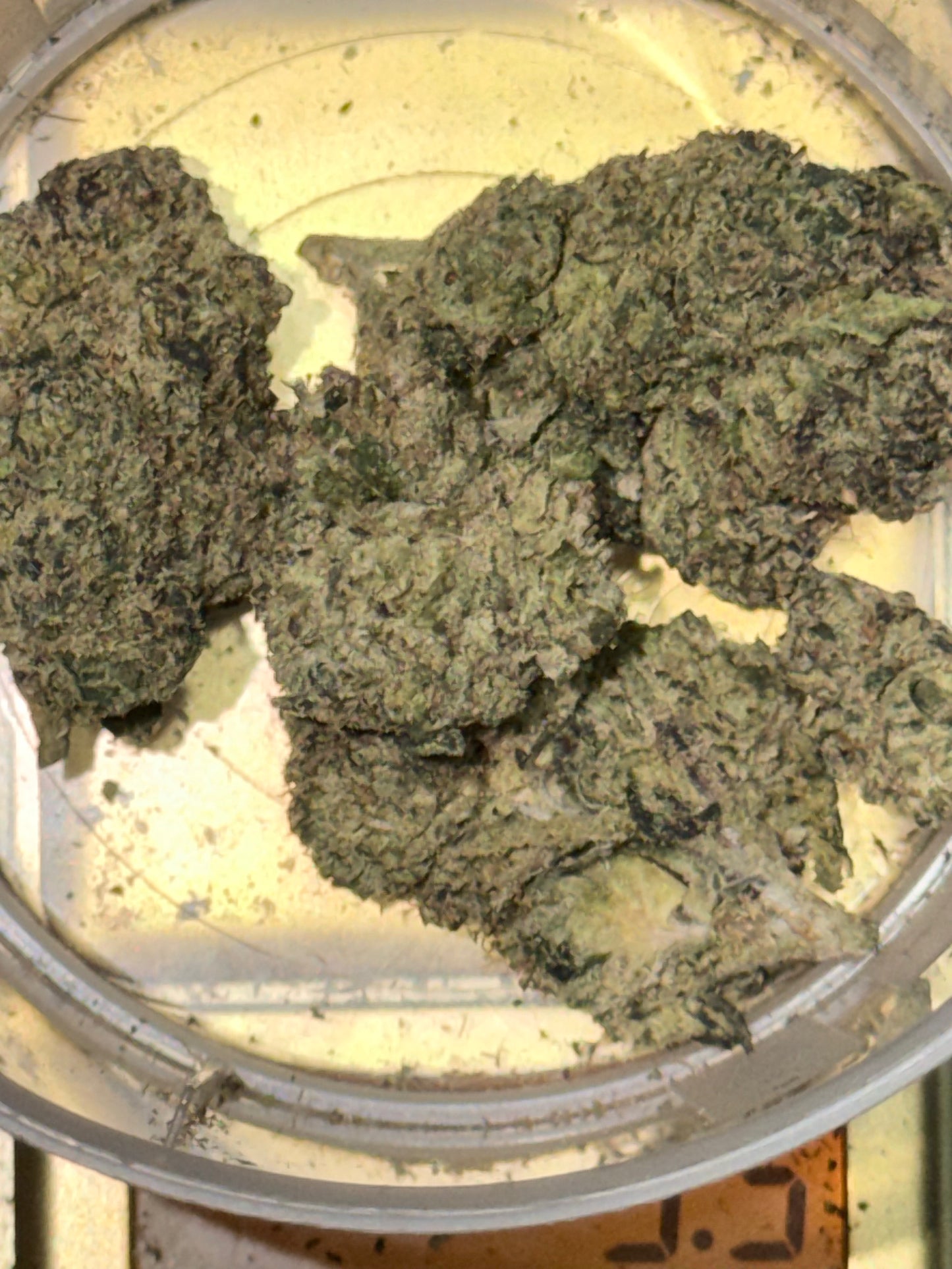 Zweet Inzanity (3.5g)