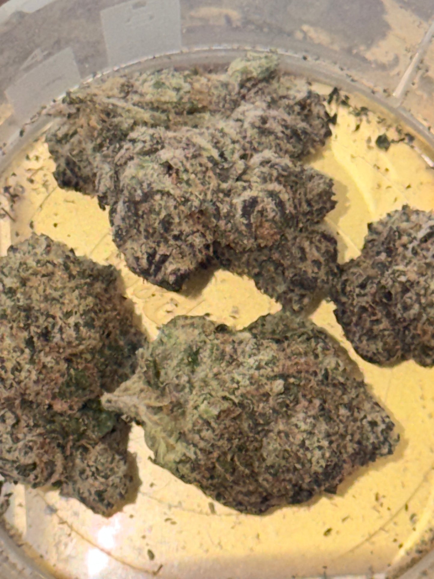 Glow Starz (3.5g)