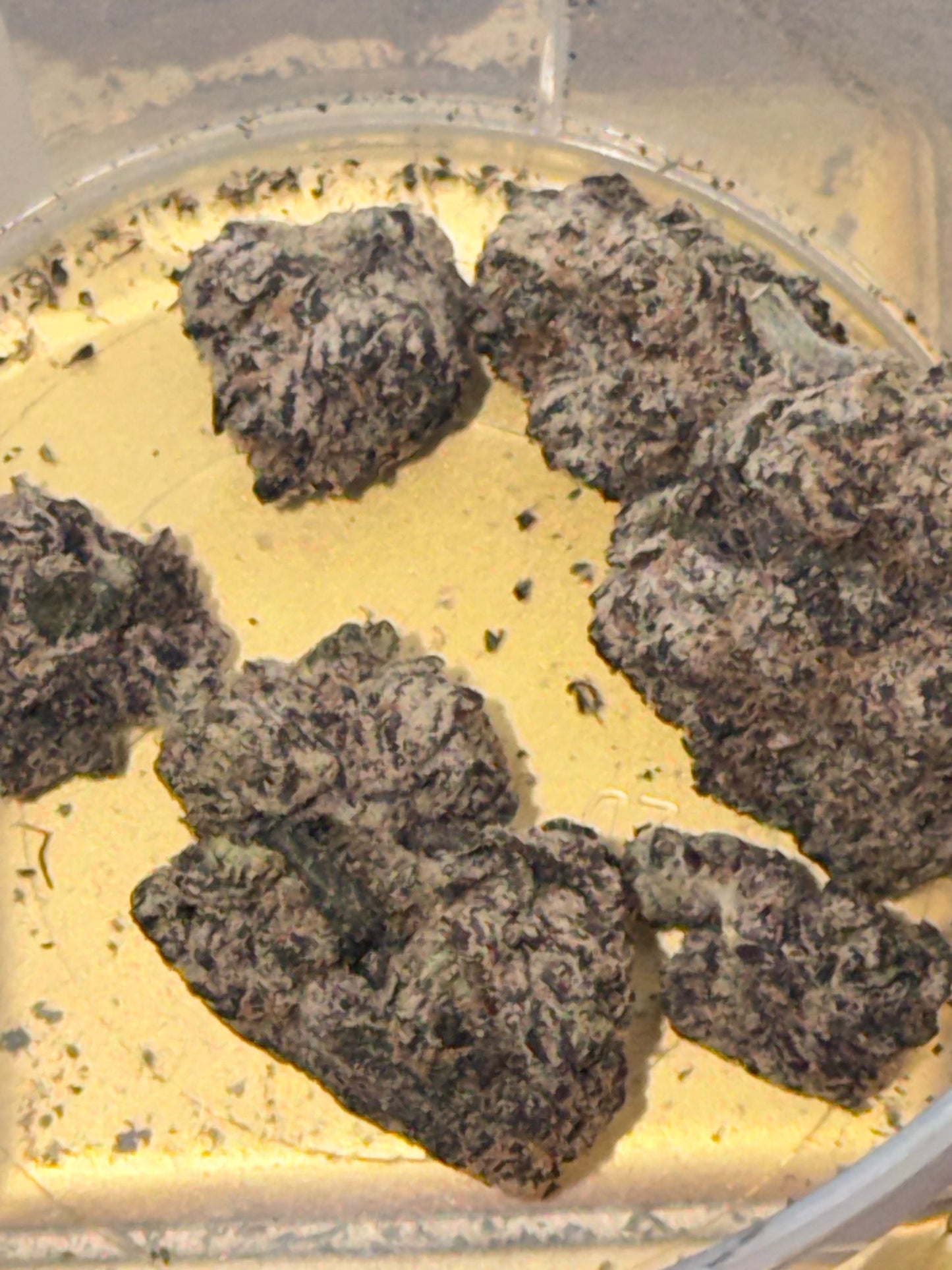Z Dawg (3.5g)