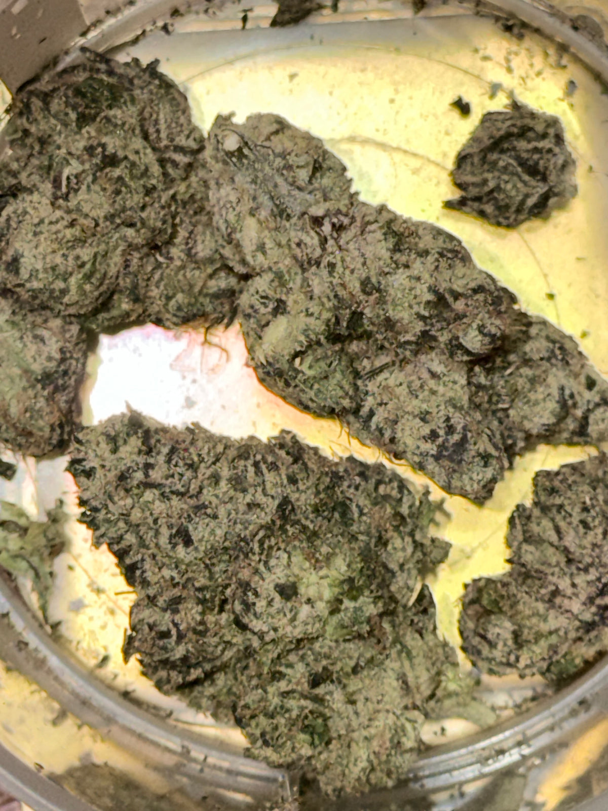 Sweet Gelato (3.5g)