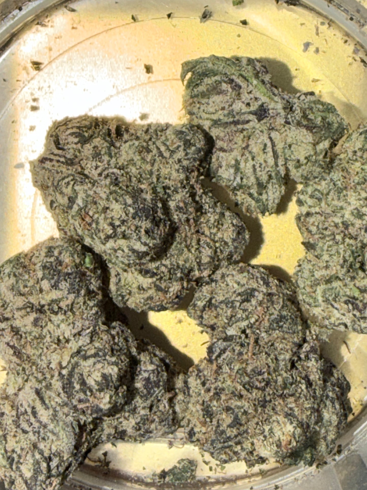 Gelato Cookies (3.5g)